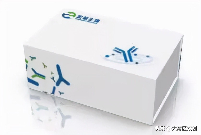 港澳青年逐梦,港澳青年创业机会