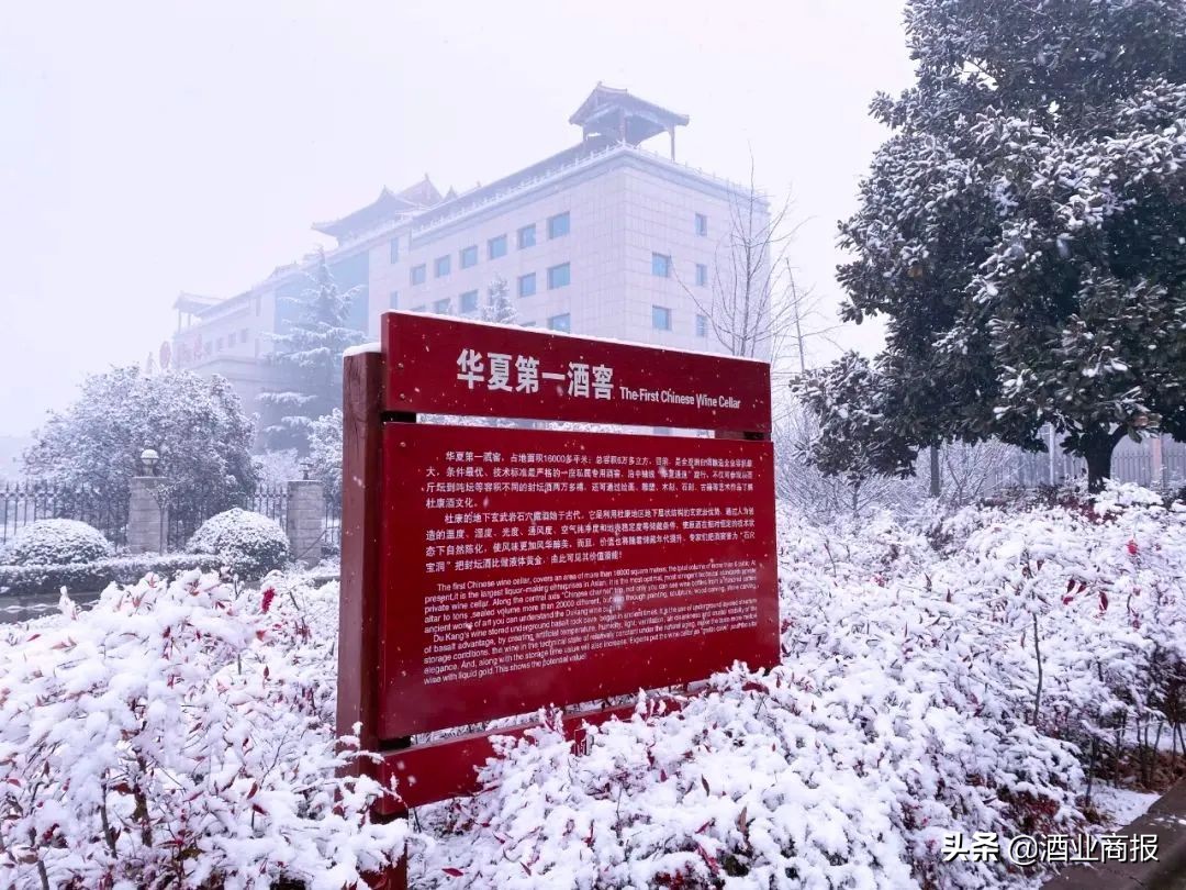 酒祖杜康是哪个省人,酒祖杜康酒文化