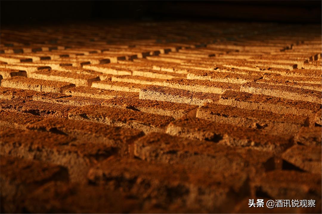 西凤发力高端化推进名酒复兴,酒讯策划泸州老窖