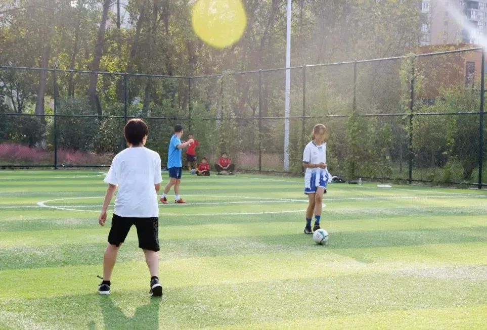 白鹭洲露营基地,白鹭湖免费露营营地