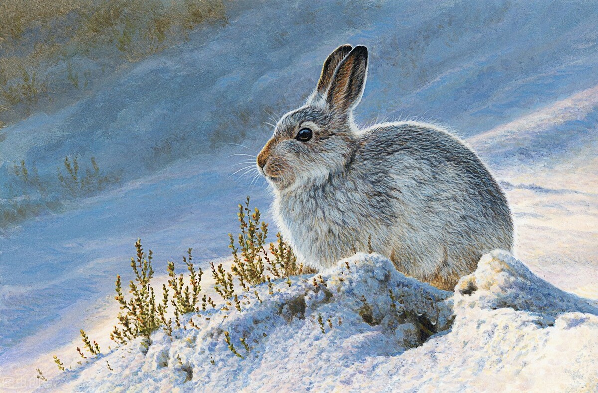 英语短句whatdoyousee,英语短文whatdoyousee