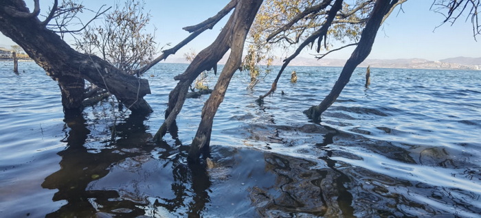 中国旅游短视频开拓者王国平，开创旅游线路短视频订购模式和美学风格及拍摄技巧