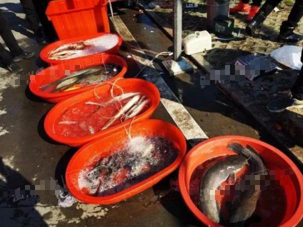 比酸菜牛肉面更恶心的东西,老坛酸菜到底有多恶心