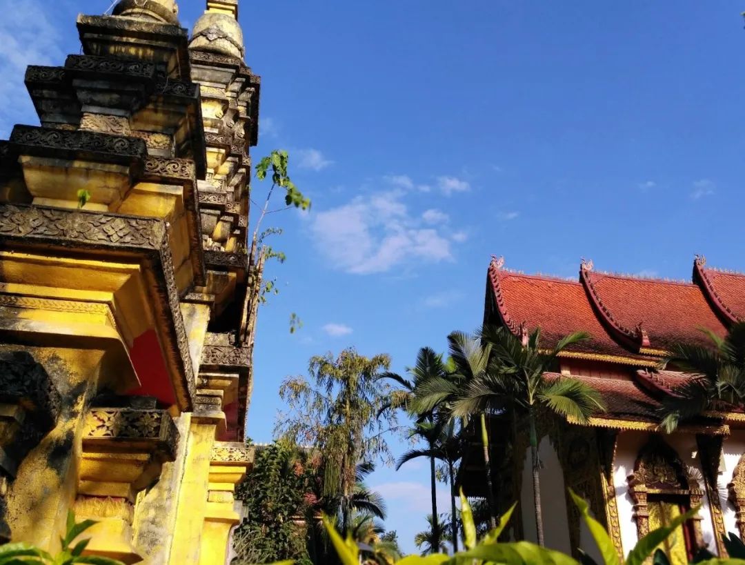 西双版纳七天六夜攻略,西双版纳五天六夜之旅完美结束