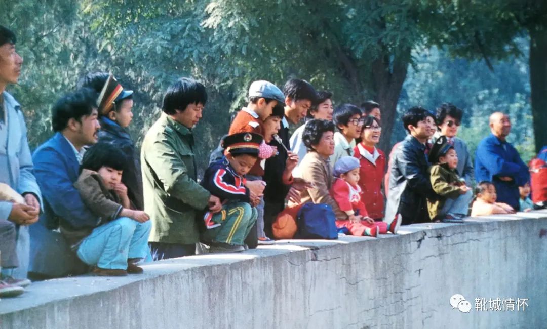 靴城记忆,靴城情怀保定黎枢