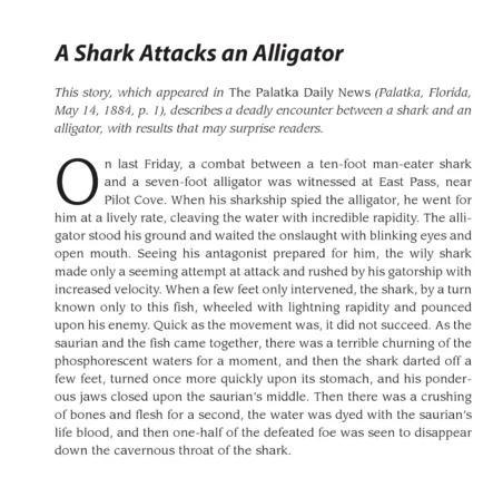 鳄鱼鲨鱼鲸鱼谁最厉害,鲨鱼和鳄鱼大战谁最厉害