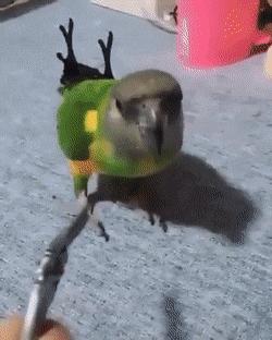 78个真实有趣的照片：山顶的足球场，老树与佛像，老司机脸部皮肤