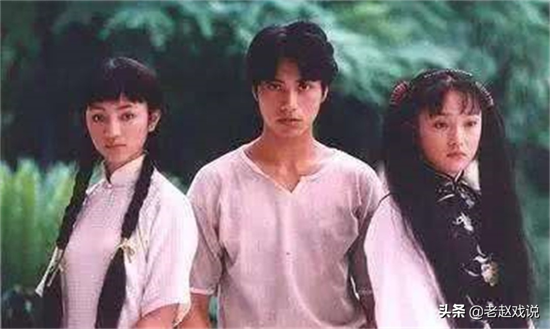 大宋提刑官主演有哪些,大宋提刑官参演名单