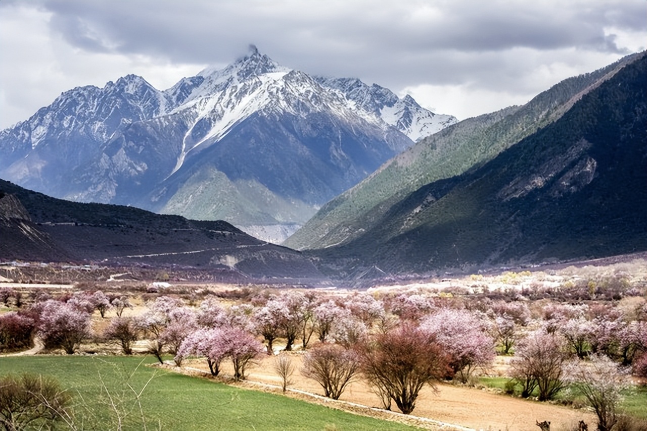 藏南林芝管辖地图,西藏藏南林芝县