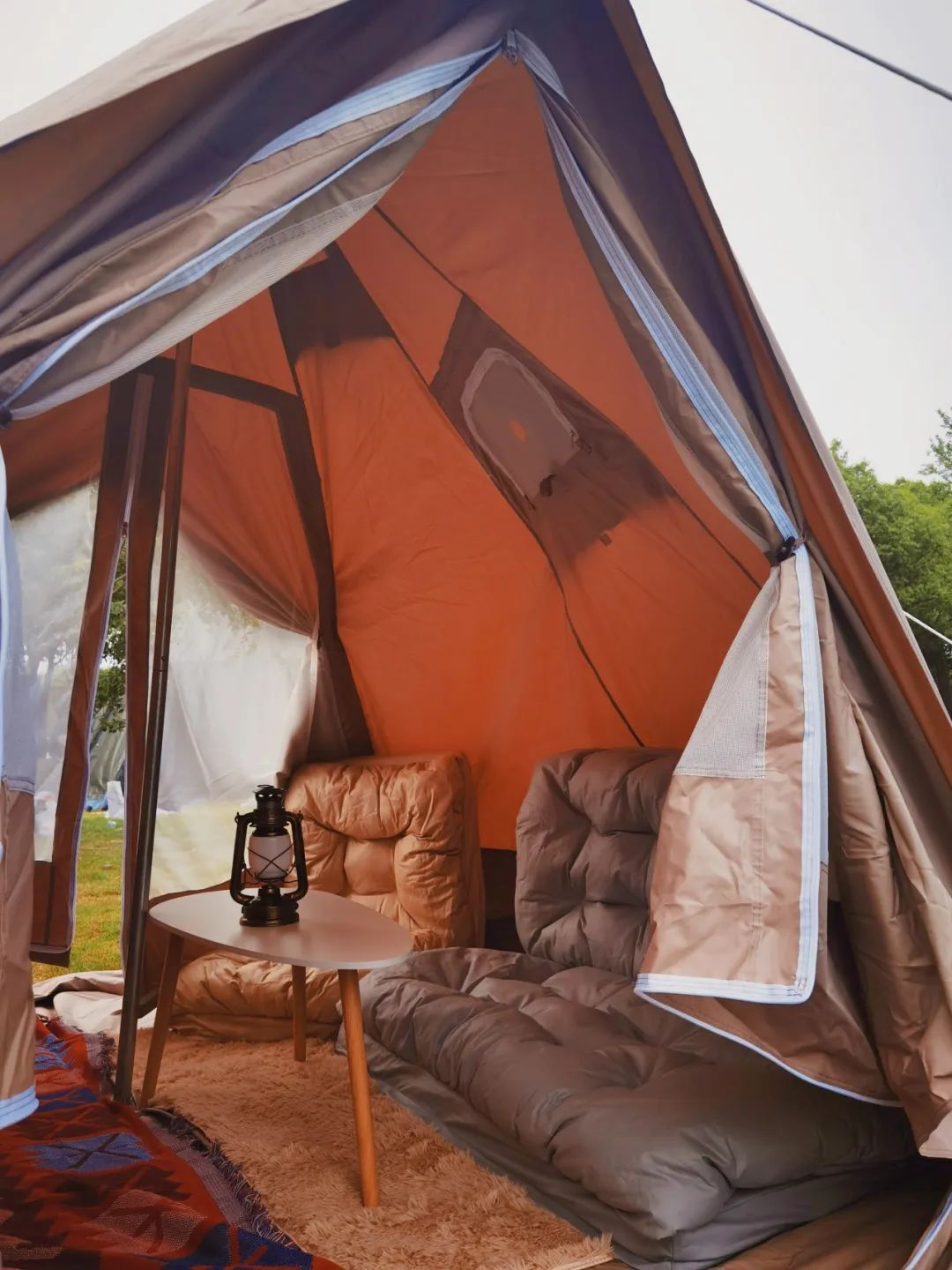 官方推介：夏日避暑纳凉寻香觅果之旅，就在百汇园黑莓产业园