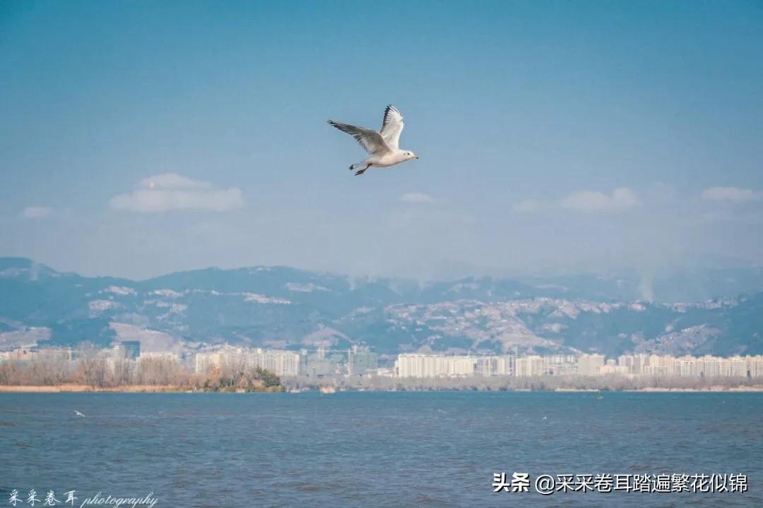 西昌邛海自驾游攻略最佳路线,西昌邛海旅游六要素