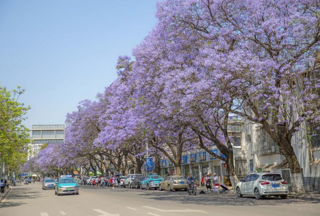 西昌五一旅游攻略学生,五一假期好去处推荐西昌