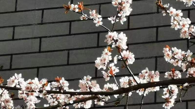 晨间笔记12：男人是“天”，挣钱、干重活和游玩是家里的功臣