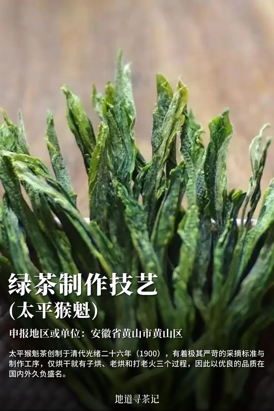 史上最全“中国传统制茶技艺及其相关习俗”展示，建议收藏！