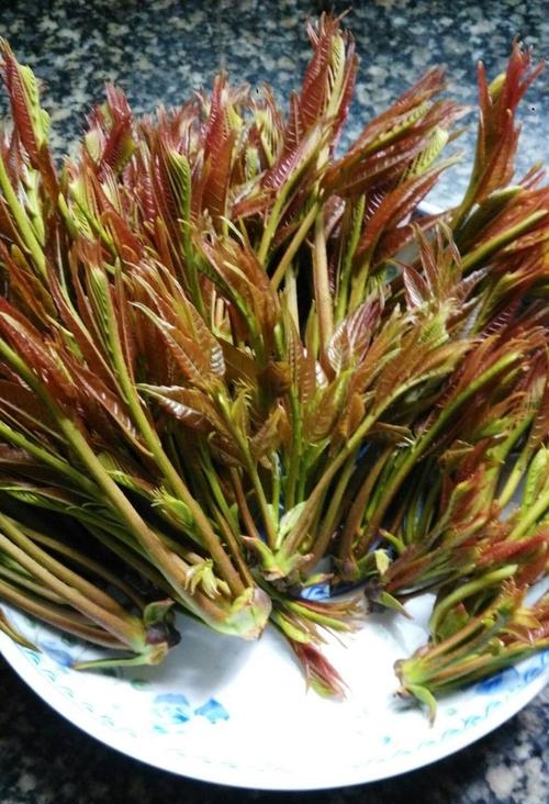 谷雨节气的习俗文字,谷雨节气风俗习惯