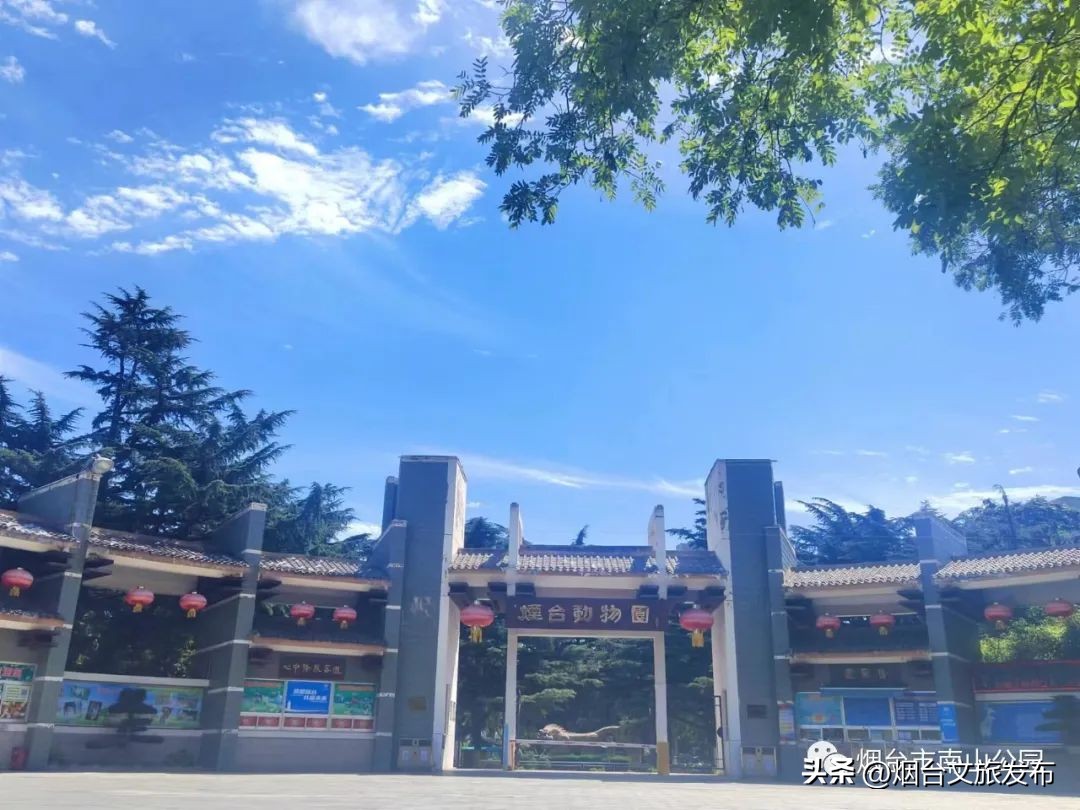 【玩转烟台】秋高气爽的日子里，来南山公园享受一段秋日慢时光