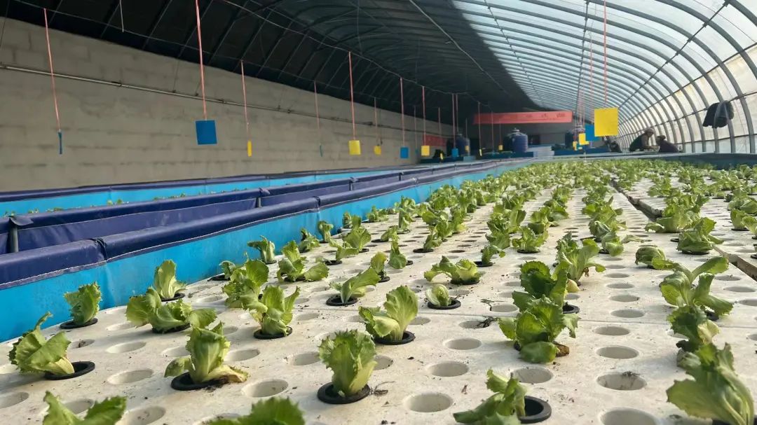 瀹佸崰蹇犳氮瀛愬洖澶翠粖鎴愯嚧瀵屽甫澶翠汉,鏋椾害鍕ゆ氮瀛愬洖澶村涓婅劚璐嚧瀵岃矾