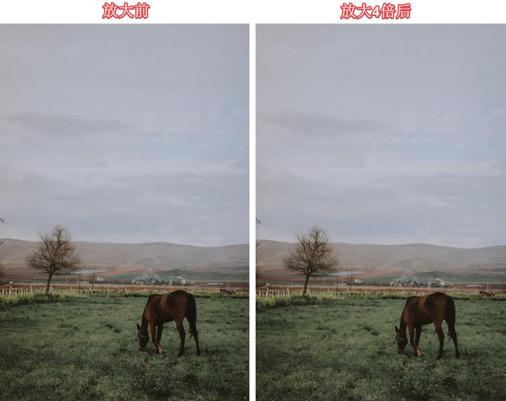 最好的图片无损放大工具是哪个,ps无损放大照片保持照片的清晰度