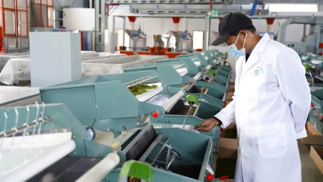 科技赋能产业振兴,科技赋能三农