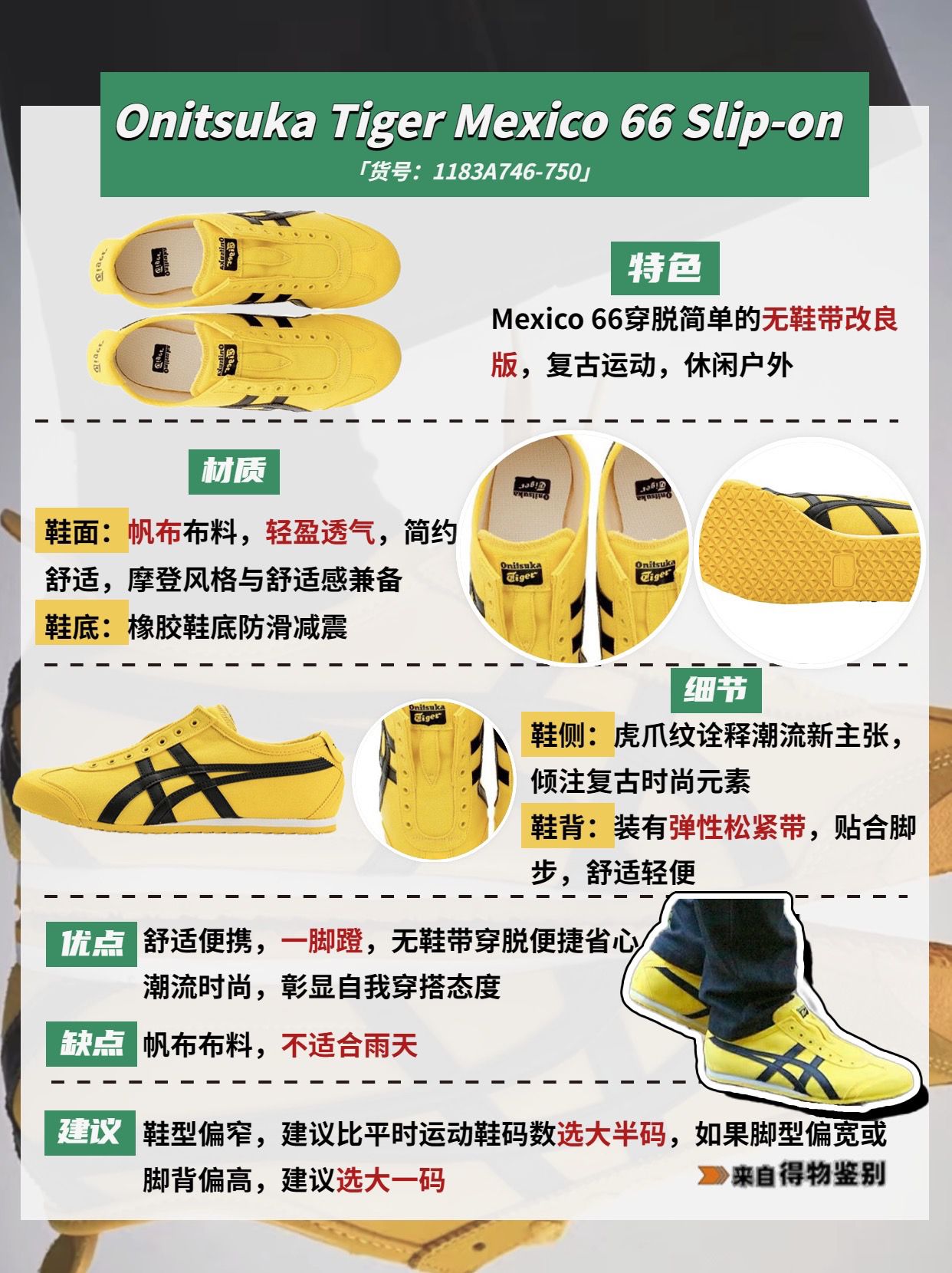 鬼冢虎和鬼虎有什么区别,鬼冢虎款式区别