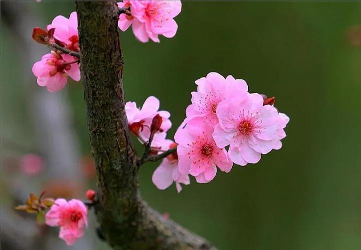 那些年我经历过的痛图片,那些年我曾走过的岁月