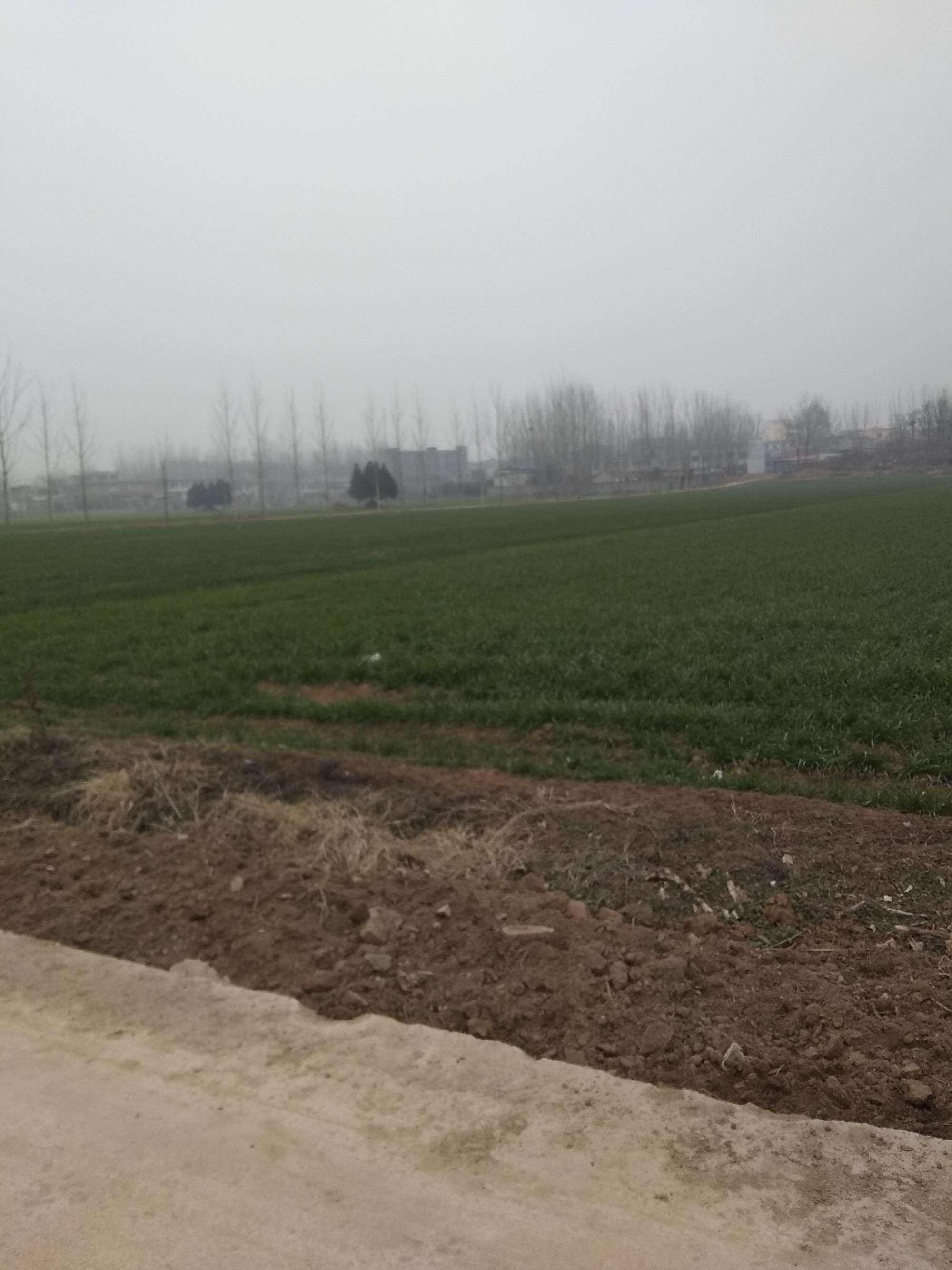 难忘家乡那一抹醉人的夕阳红