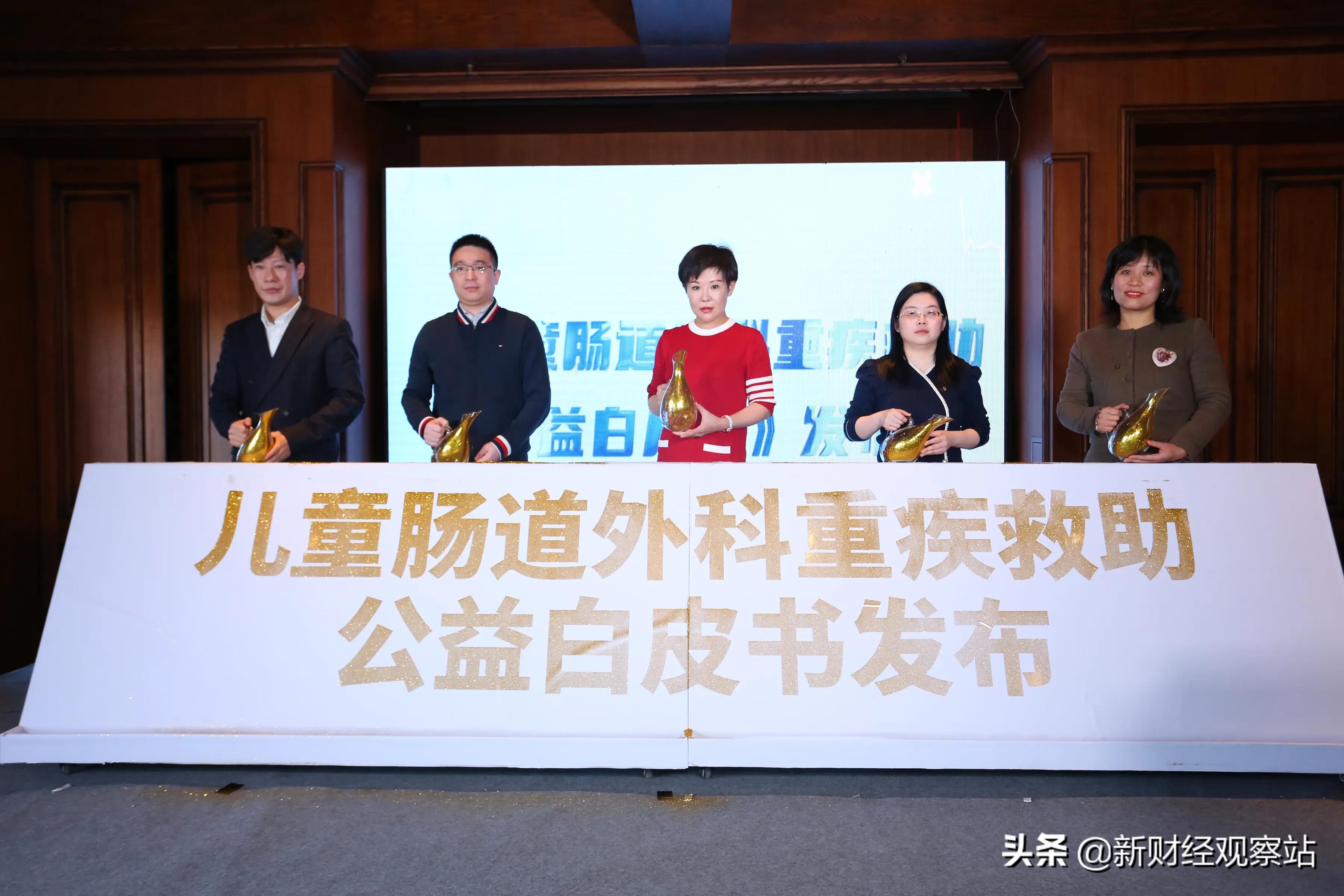 可持续发展愿景,可持续发展努力