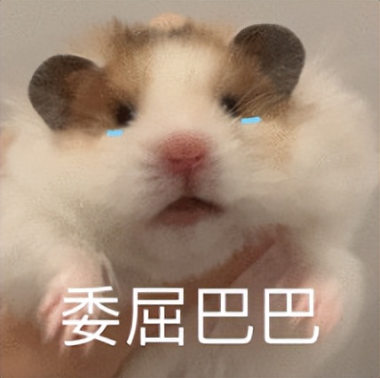 第一次出国的行李箱中，你最后悔从中国带去的东西是？