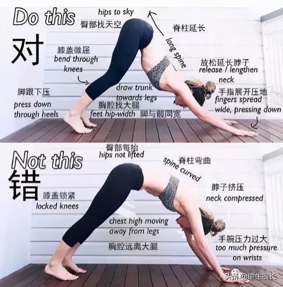 瑜伽初学者在下犬式中遇到的问题,瑜伽下犬式为什么踩不到地