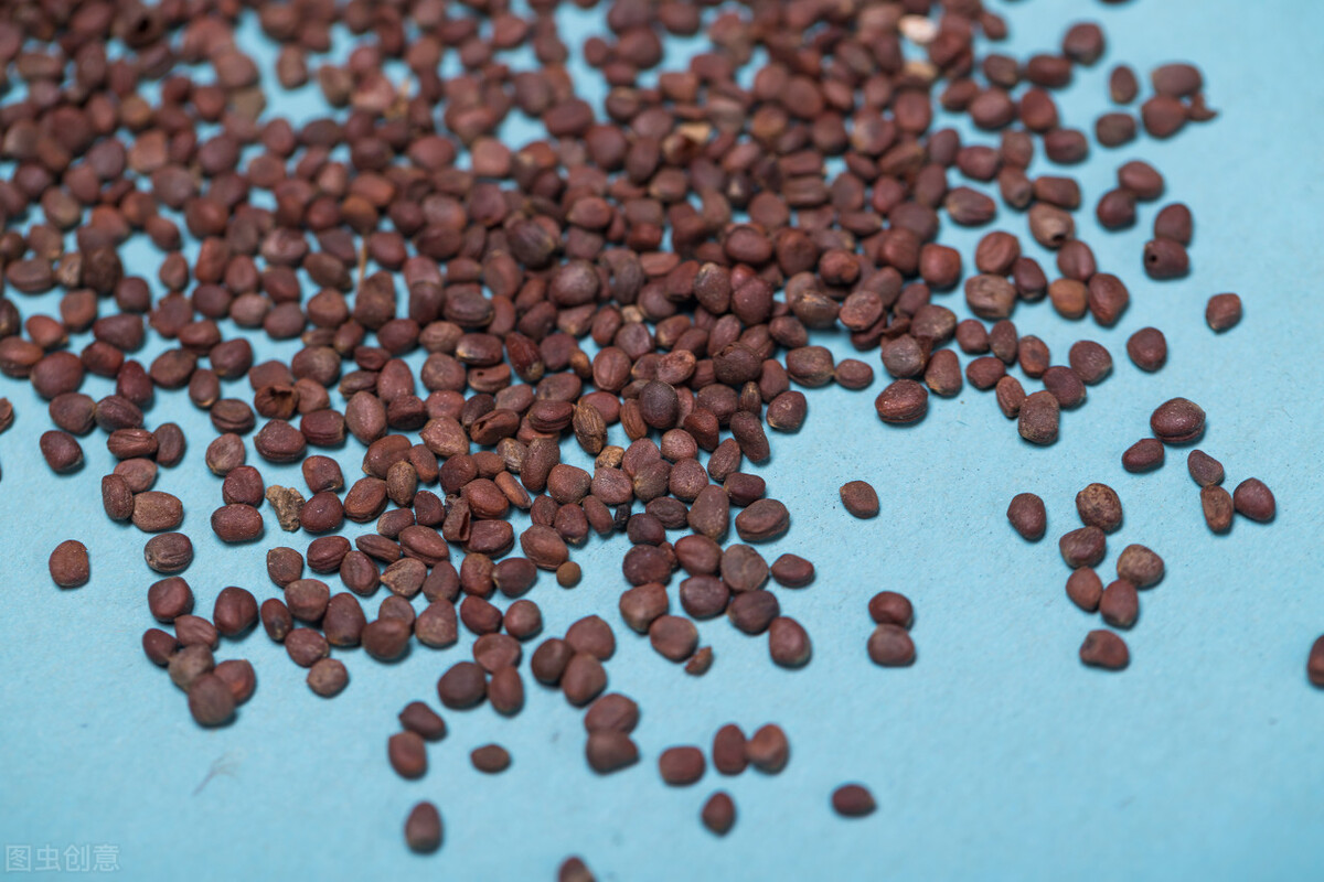 白痰多吐不尽吃什么药治疗,白痰多吃不下