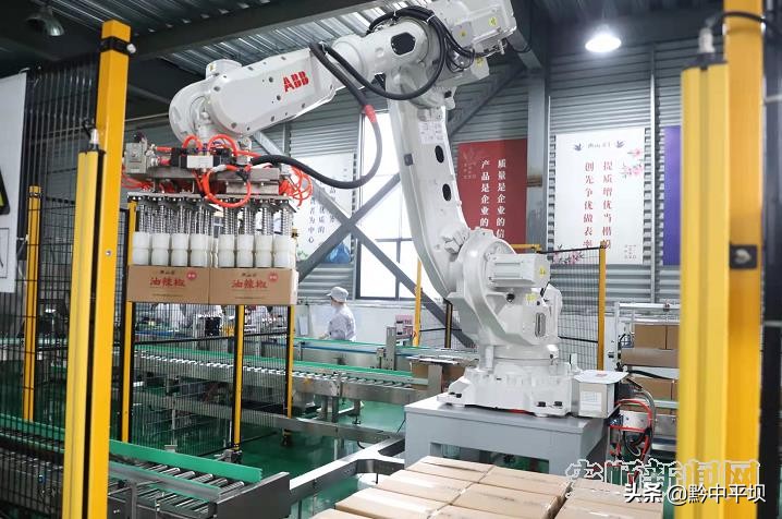 南山婆酸汤粉旗舰店安顺店,贵州南山婆食品集团有限公司