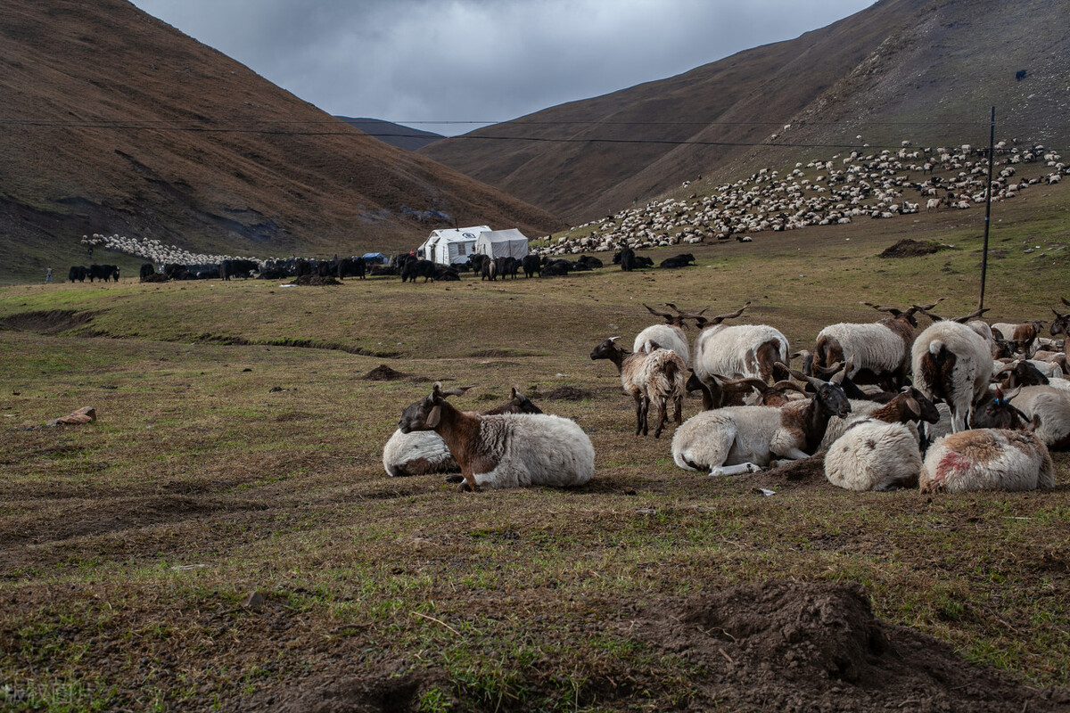 遥远的骑兵——我经历的骑兵训练