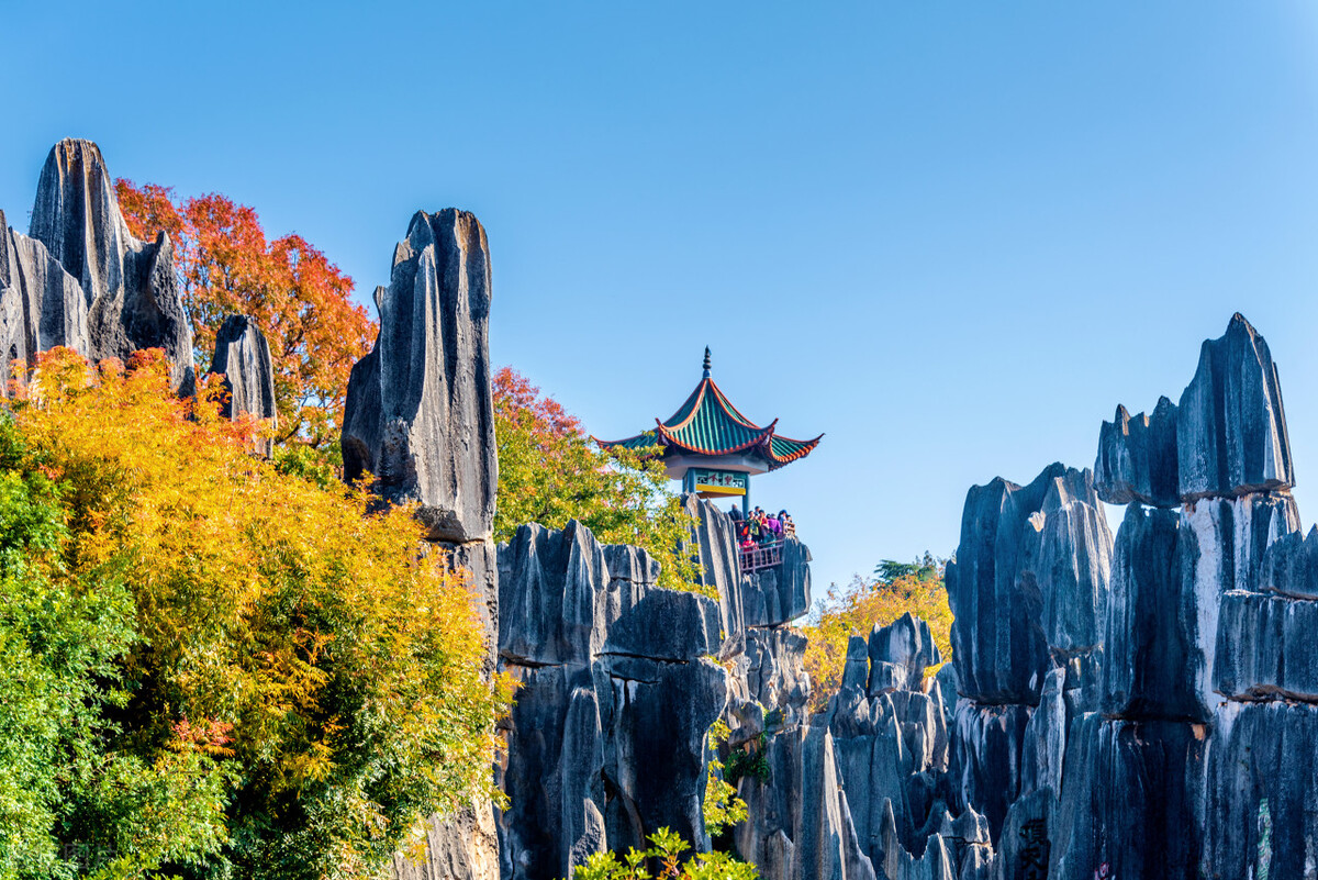 泰州地区有哪些建设项目,泰州今年新开工建设项目