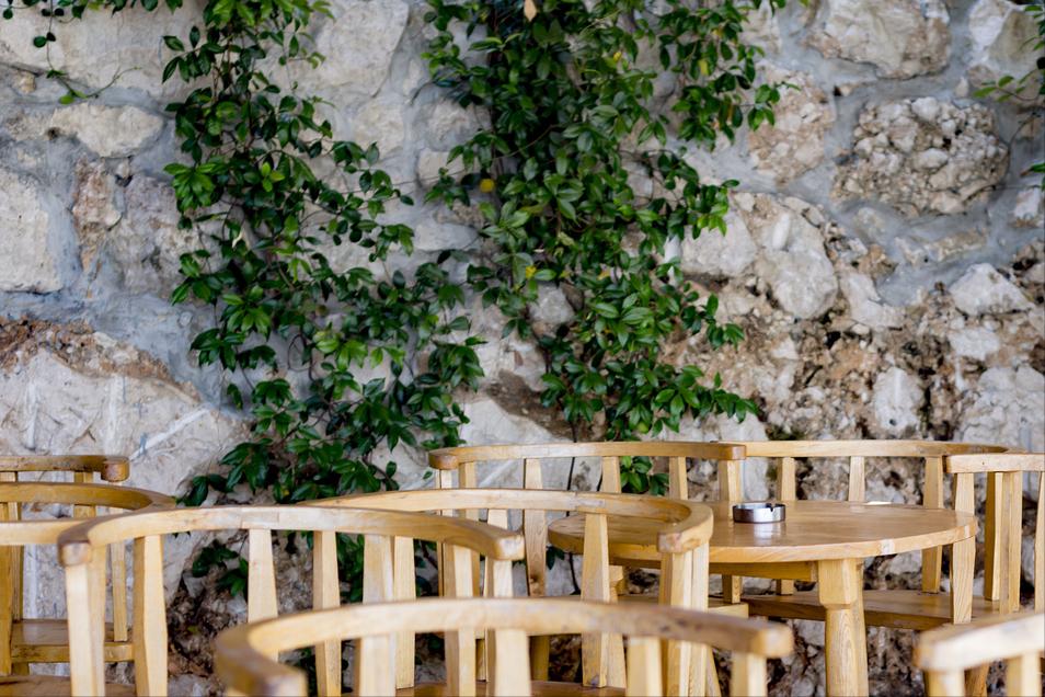 啄木鸟日常维修,啄木鸟家庭维修时间