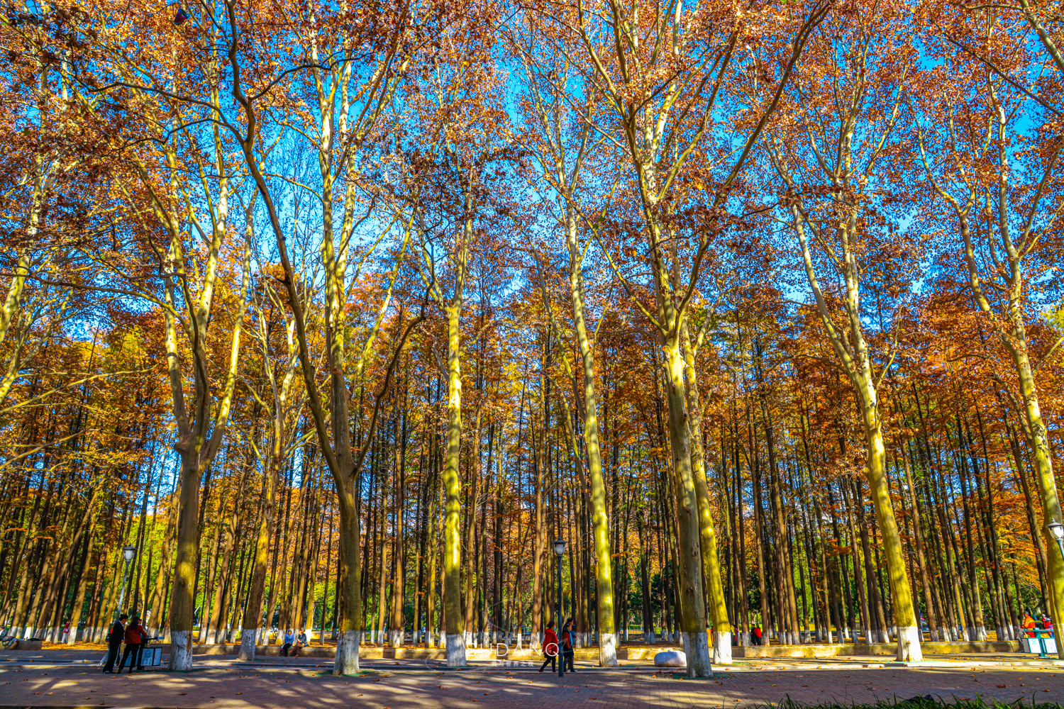 大自然塑造了我,大自然塑造者