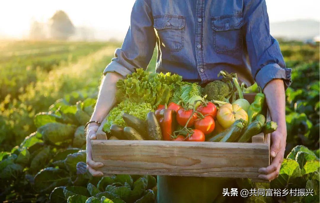 有机农业发展前景的趋势,未来农业最有前景的商机