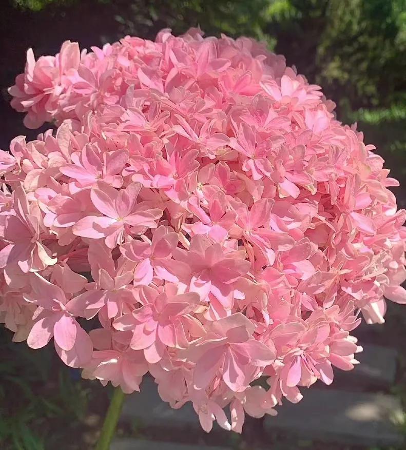 对音乐人的鼓励,我对音乐有自己的想法