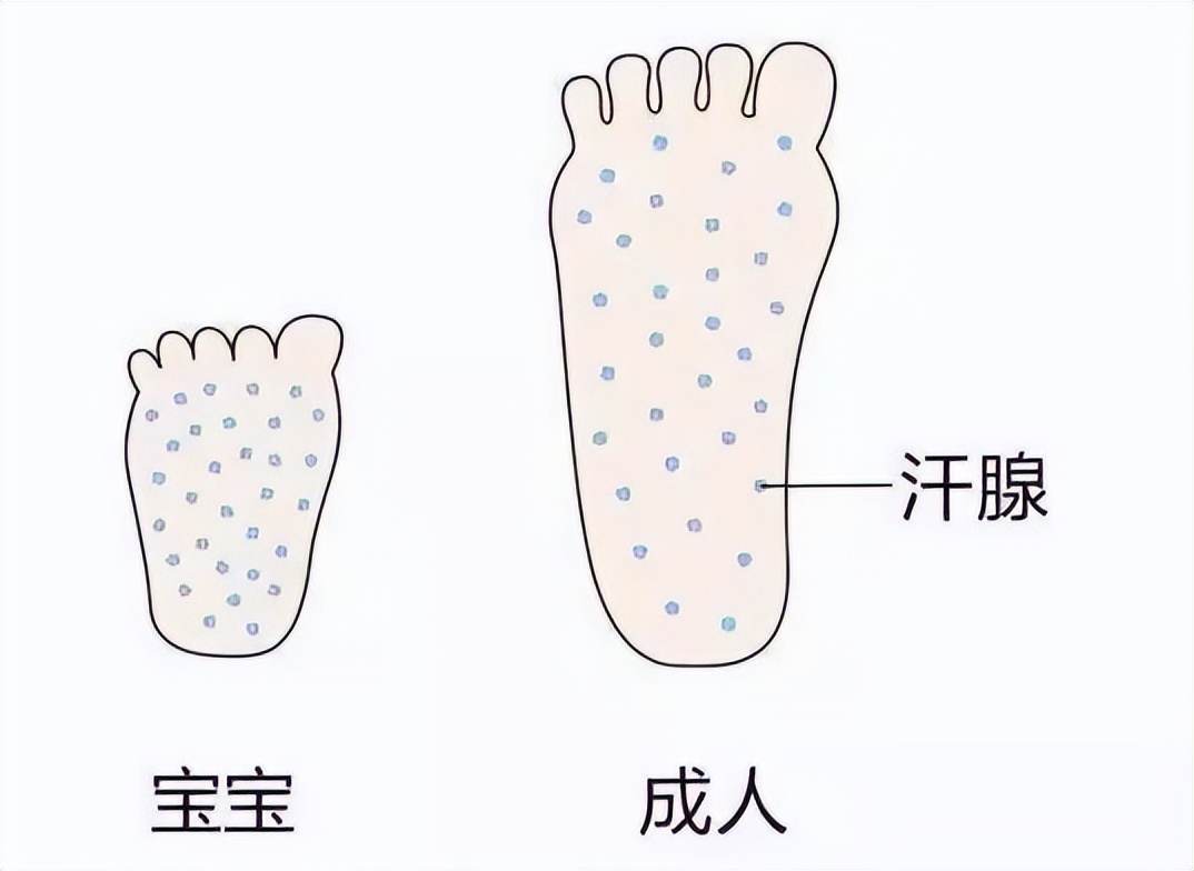 孩子脱鞋臭的“熏眼睛”？教你1招让臭脚变香香