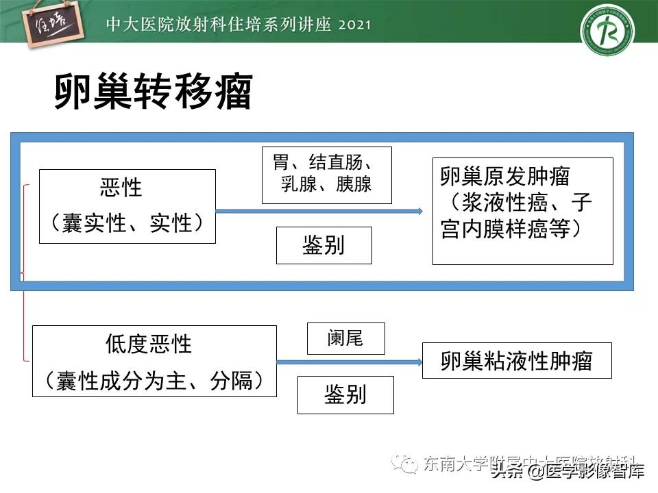 卵巢浆液性肿瘤的肉眼及镜下特征,卵巢原发性粘液性囊腺瘤