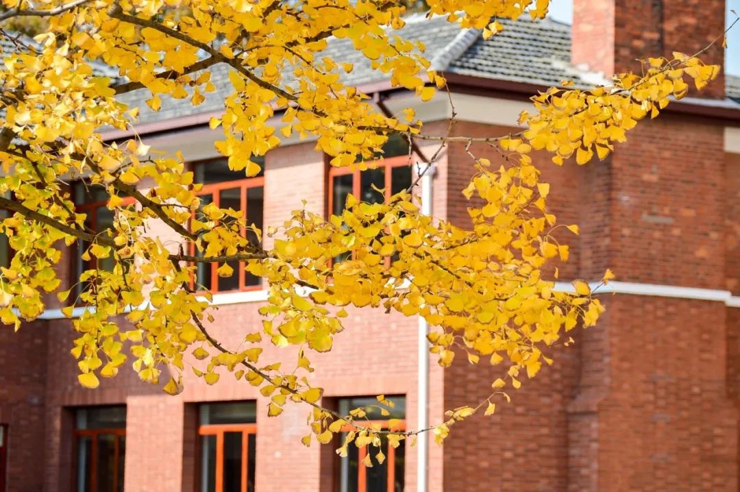 山东高考志愿填报最好专业,山东高考志愿填报专业及录取