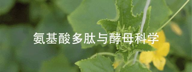 花卉施肥烧根怎么办,观赏植物肥料施多了烧根怎么办