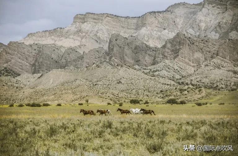 格鲁吉亚与俄罗斯是友好国家吗,2008年格鲁吉亚和俄罗斯战争原因