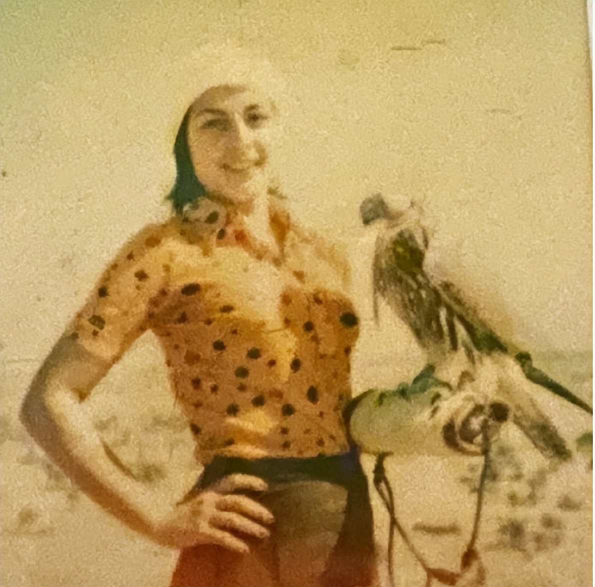 原来圣裔血统,也难逃童婚的命运啊