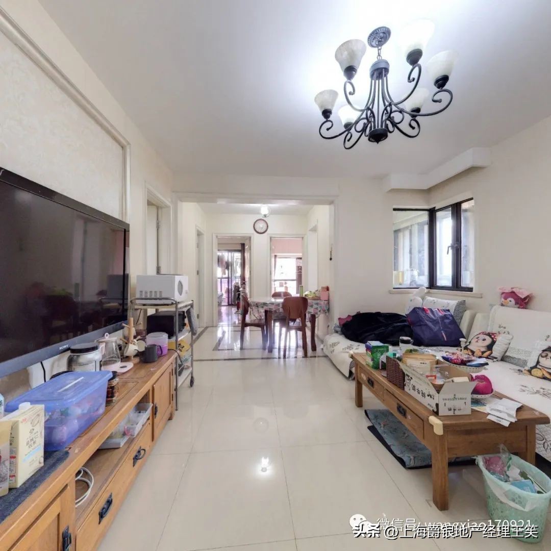 大华高端住宅系列,大华高端住宅