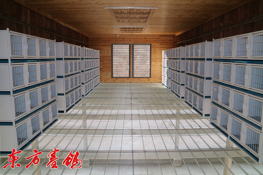 贵州万顺公棚2023年规程,多彩贵州鸿运当头