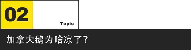 加拿大歌曲凉凉,凉凉加拿大版