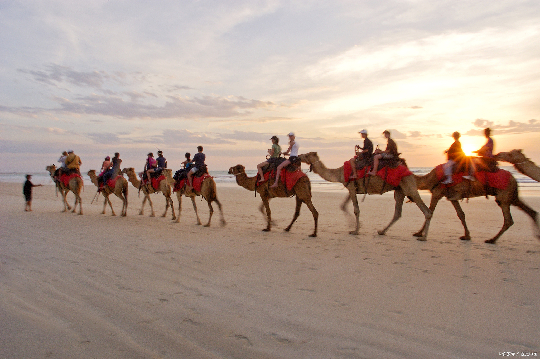 堵骆驼,堵骆驼敦煌骆驼排队上山