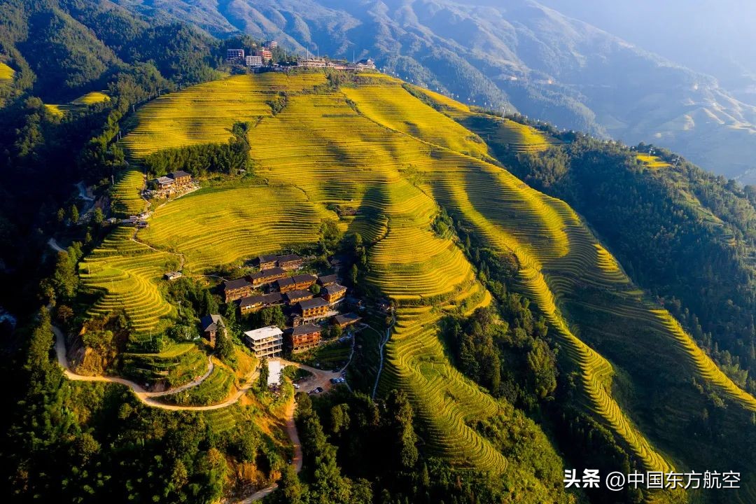 邀你来一场秋天的约会,和秋天来一场约会