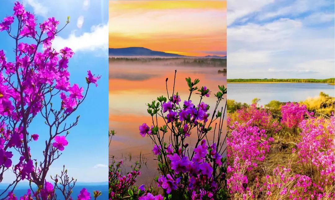 买买买！阿尔山邀你来体验海淘购物快乐！