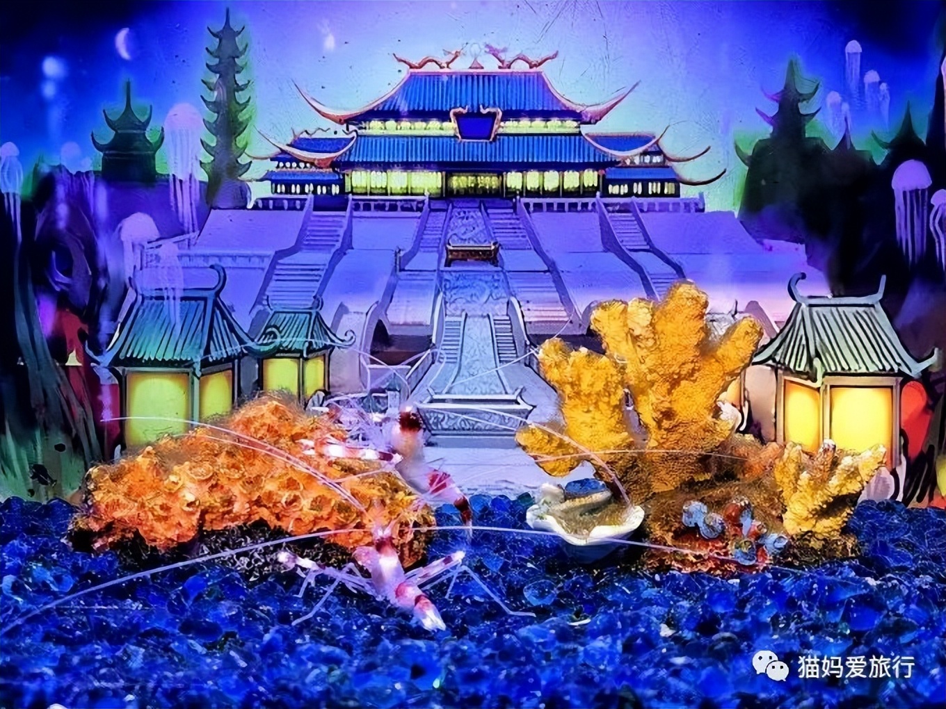 5天“趣”玩青岛，我的私藏遛娃路线